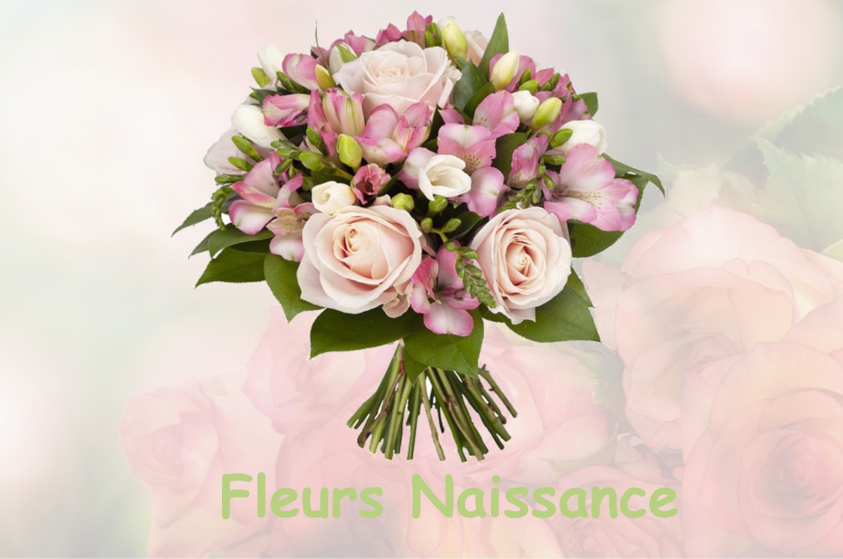 fleurs naissance CRIQUEBEUF-LA-CAMPAGNE
