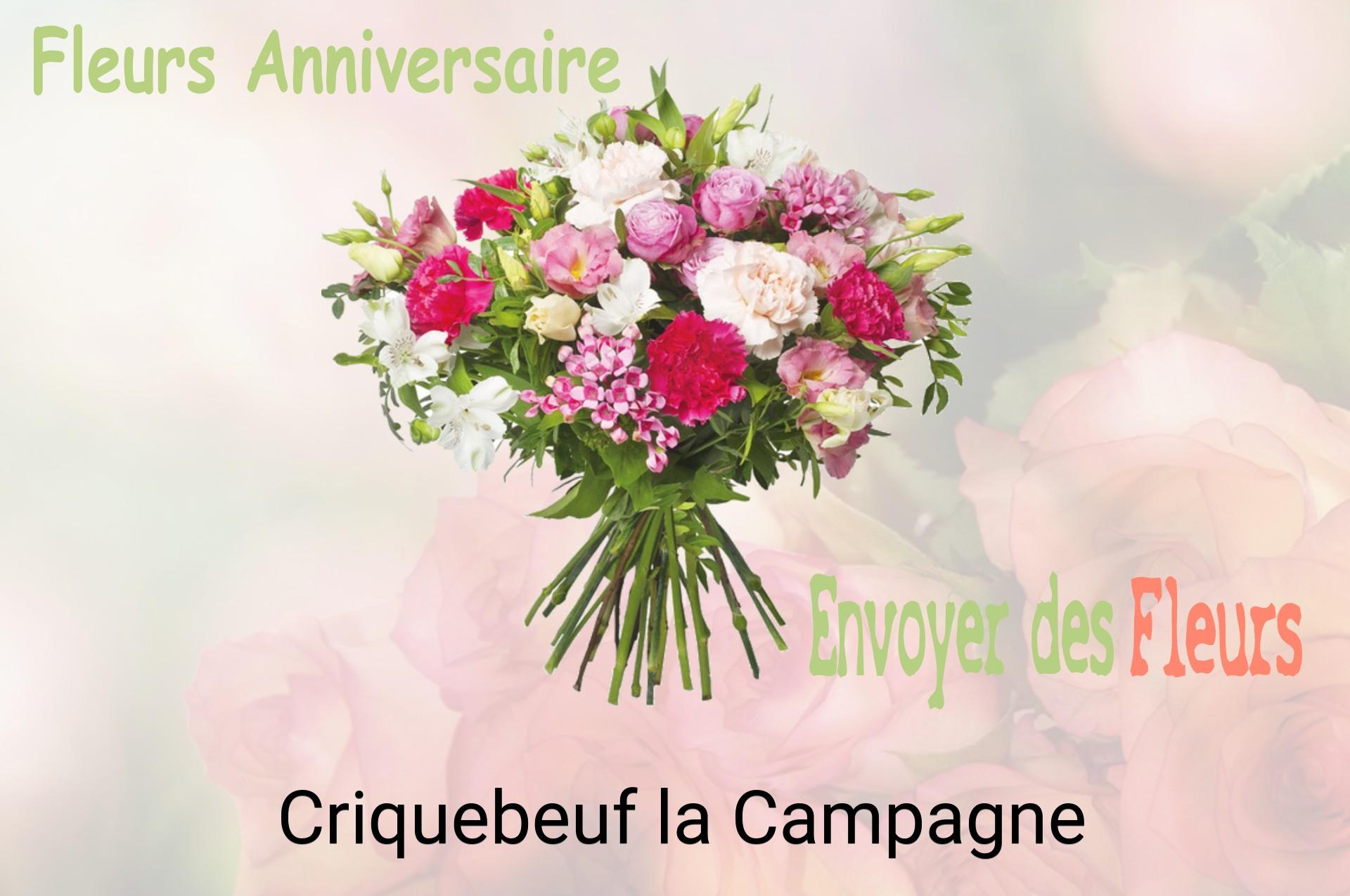 Bouquet de fleurs d’anniversaire livré à Criquebeuf-la-Campagne