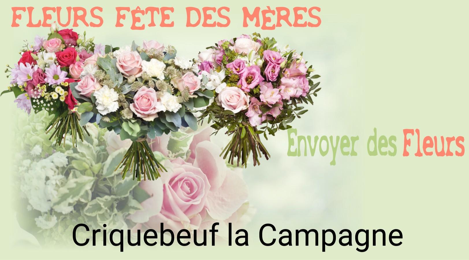 Bouquet de Fête des Mères livré à Criquebeuf-la-Campagne